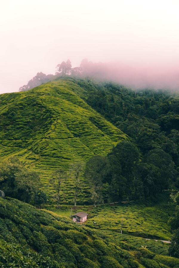 Heritage Hotel Cameron Highlands Esterno foto